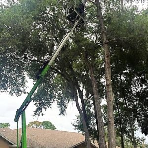 cc3eead8-94a7-4f38-a01f-1f6ca822befe_orig